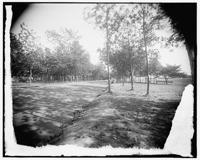 Photo:[Road, probably in Bois Blanc Park, Bois Blanc Island]