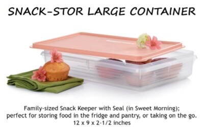 Tupperware SNACK-STOR LARGE CONTAINER with Light Pink Seal ~ 12 x 9 x 2.5'' ~ NEW