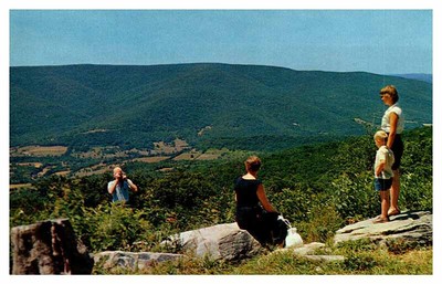 Postcard TOURIST ATTRACTION SCENE Between Pine Hill & Fleischmanns NY AU1703