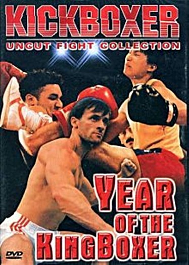 Year Of The Kingboxer ( Hk Actionfilm )Von Eric Tsui Mit Steve Brettingham Uncut