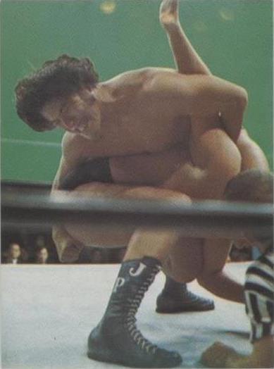 1974 Yamakatsu New Japan Pro Wrestling - Anaconda #20 for sale | eBay
