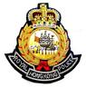 Badge Police Hong Kong 3.jpg