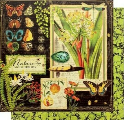 Graphic 45 Nature Sketchbook 12'' Cardstock  PICK Earth Plant Blooming World Bees