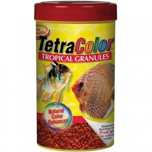 Top9ColorEnhancingFoodsforYourFish