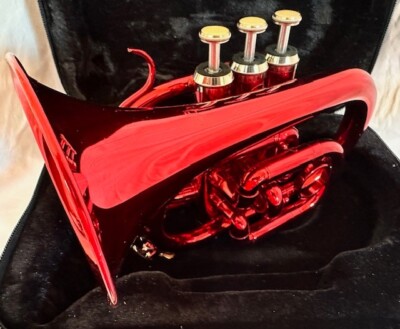 Stagg Bb Pocket Trumpet Marching Band WS-TR247S w/case gloves REDUCED NIB cornet