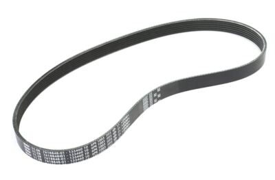 ゆき Genuine OEM Accessory Drive Belt 6PK 1003 for BMW