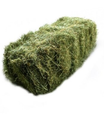 Heu 20kg Greenagrar 1 Schnitt 2020 Schwarzwald Heu Kaninchen Pferde Schafe Ziege