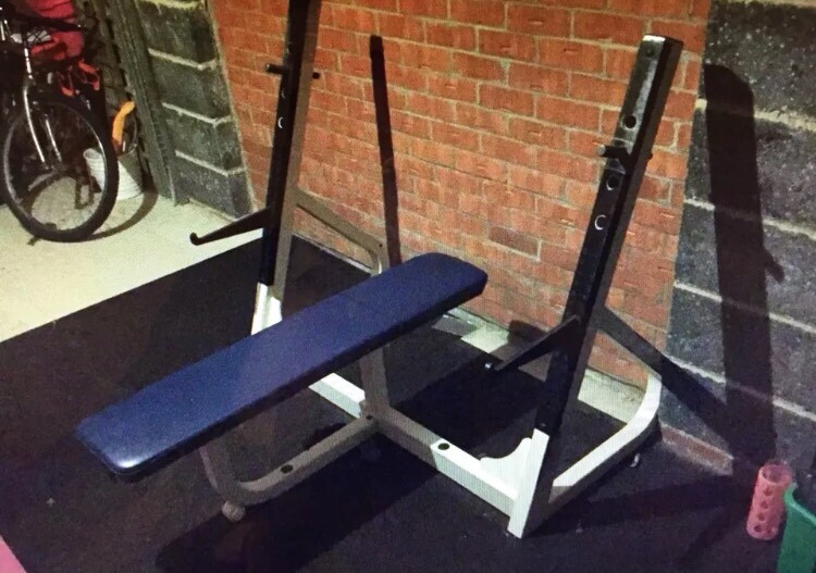 Cybex Commercial Flat Bench For Free Weights Ideal For Home