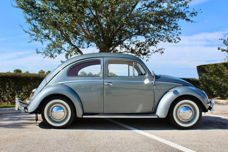 Owner 1954 Volkswagen Beetle