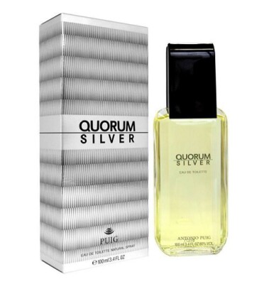 QUORUM SILVER * Antonio Puig 3.4 oz / 100 ml Eau De Toilette Men Cologne Spray
