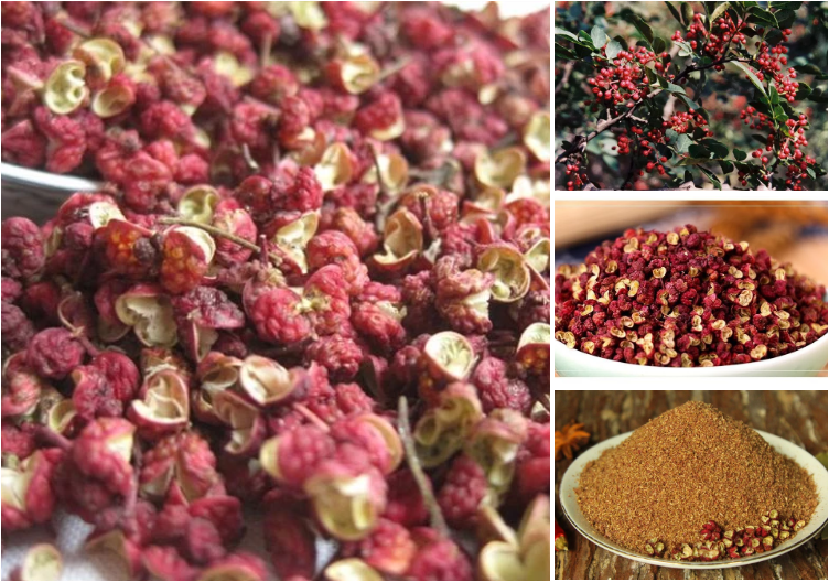 Premium Sichuan Red Peppercorns 4oz, A Mouth-numbing Szechuan Spices, Fresh 