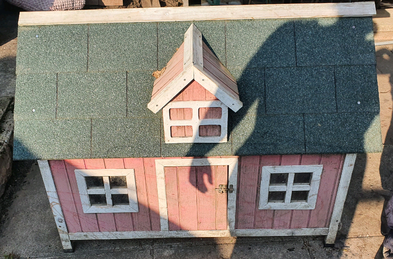 Duck House for sale in UK 49 secondhand Duck Houses
