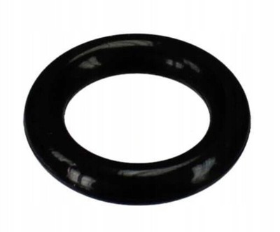 O-ring Intergas 878597 8065129 / P00D 9912