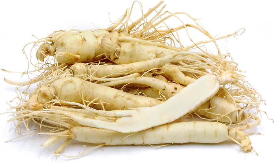 Fresh American Ginseng Roots!! 西洋参 (Non-GMO, Gluten Free) Wisconsin Grown
