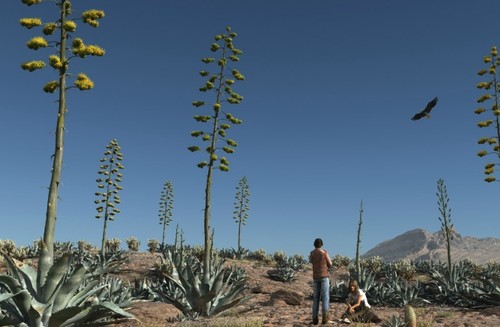 新品Mサイズ kaitlynSepia Agave 新品Mサイズ kaitlynSepia Agave 新品Mサイズ kaitlynSepia