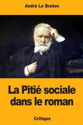 La Piti? Sociale Dans Le Roman