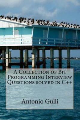 A Collection Of Bit Programming Interview Questions Solved In C++ (RePrint)