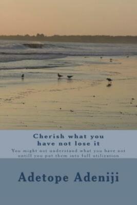 Cherish What You Have Not Lose It: You Might Not Understand What You Have N...