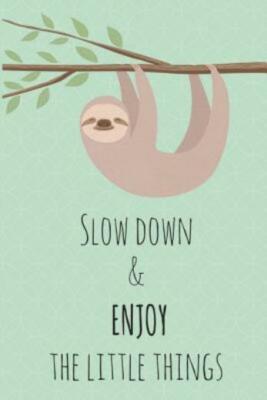 Slow Down & Enjoy The Little Things (RePrint)