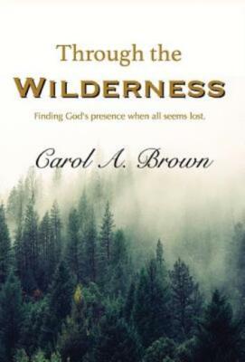 Through The Wilderness: Finding God's Presence When All Seems Lost