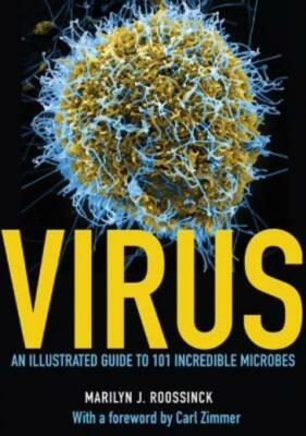 Virus: An Illustrated Guide To 101 Incredible Microbes