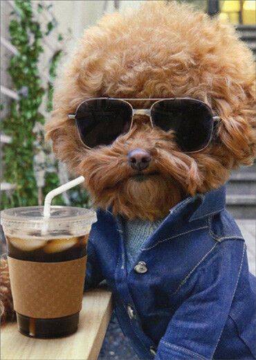 Cool Dog With Coffee Avanti Humorous  Funny Birthday Card