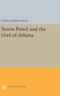 Storm Petrel And The Owl Of Athena
