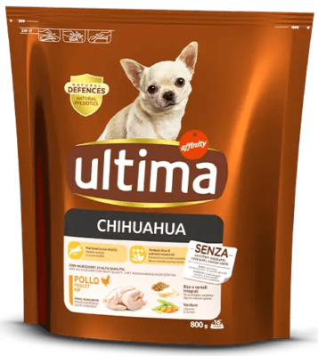 Best food for small chihuahua top