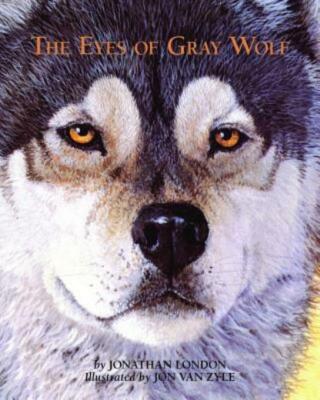 The Eyes Of Gray Wolf