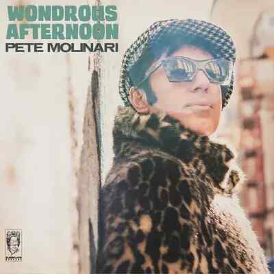 Pete Molinari | Black Vinyl LP | Wondrous Afternoon | Blind Faith