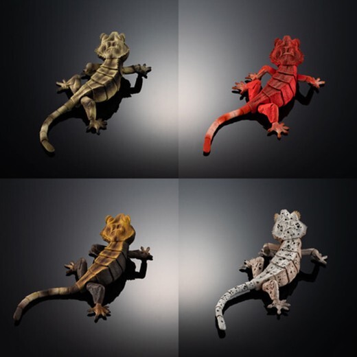 Mader's Reptile and Amphibian 獣医　エキゾチック Mader's Reptile and Amphibian 獣医 エキゾチック