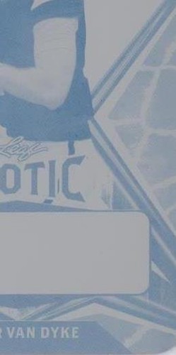 2022 Leaf Exotic Tyler Van Dyke #BA-TVD