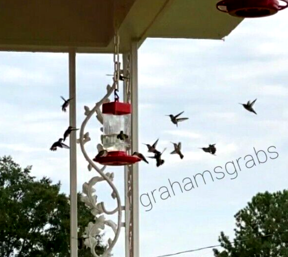 FIRST NATURE HUMMINGBIRD FEEDER  32 OZ WIDE MOUTH #3055 EASY CLEAN MADE IN USA!