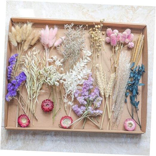 DIY Dried Flower Set, Bulk Dried Flowers,Handmade Ideas, DIY Flower