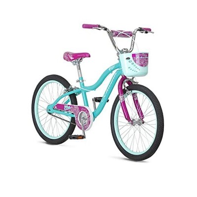 Chain Guard & Kickstand 20-inch Wheels Teal