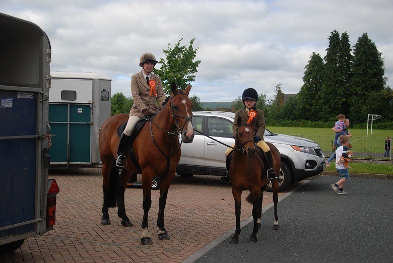 Lead Rein Pony For Sale. 12 Welsh Part Bred bay mare. 16 years old in
