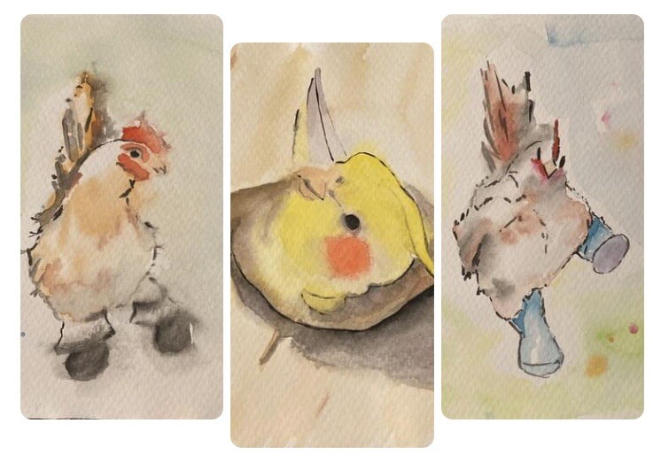 Handmade Good Vibes Painting 3pcs Birds Rooster ParrotOriginal Watercolor.Paper.