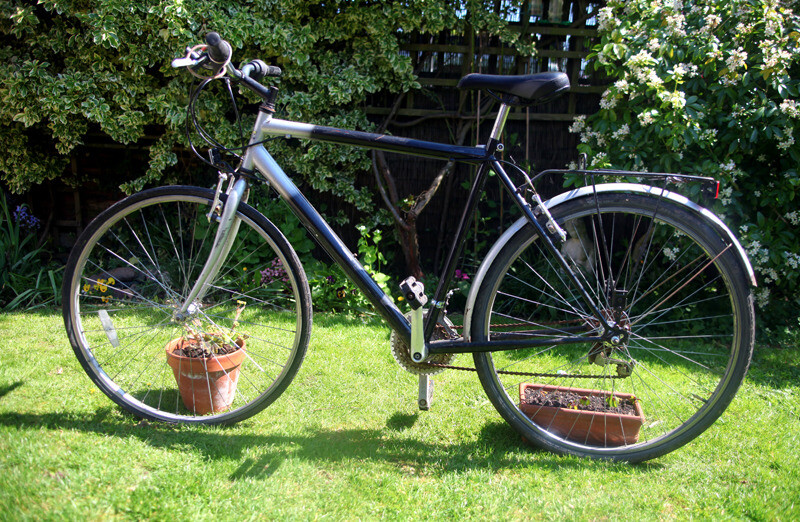 standard bikes for beginners