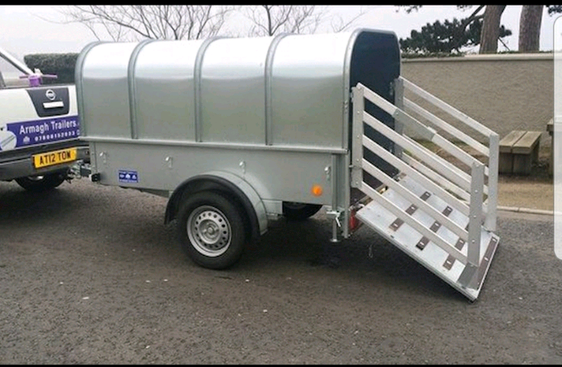 Sheep Trailer for sale in UK 72 used Sheep Trailers