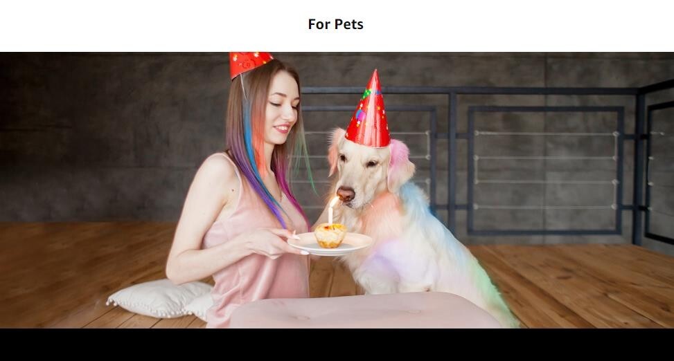 10 Color Washable Hair Chalk Temporary Hair Color Chalk Comb Set for Girls Kids