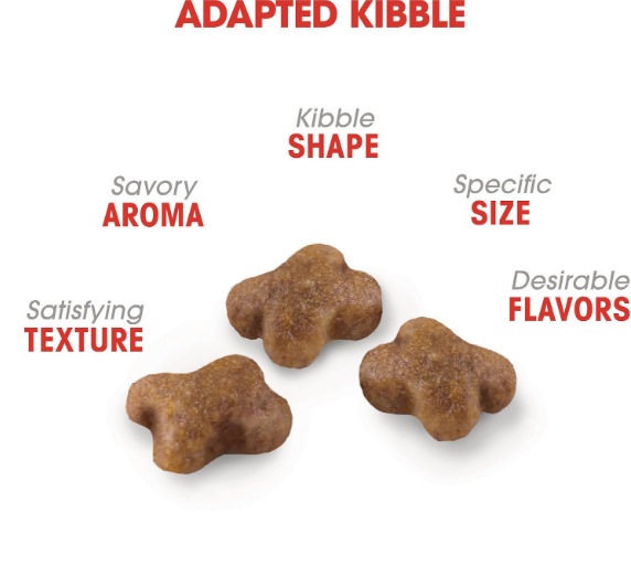 ROYAL CANIN FELINE HEALTH NUTRITION Kitten dry cat food - FREE SHIPPING