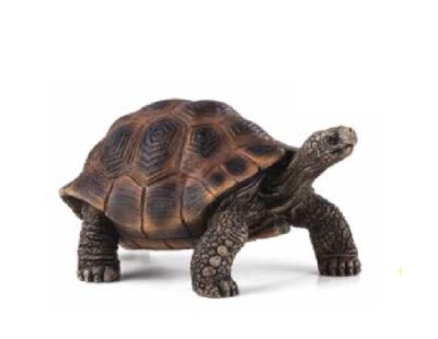 Papo- Tartaruga Delle Galapagos Statuetta, Multicolore, 50161