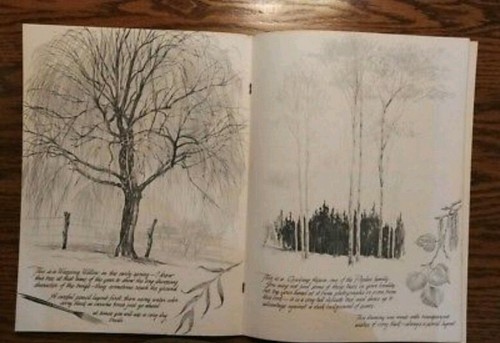 Book #5 - More Trees by Frederick J. Garner/Walter T. Foster Publication