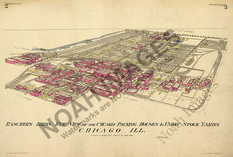 Panoramic View of Chicago Packing House Union Stock Yards IL