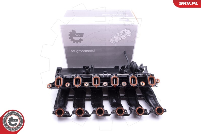 Esen Skv Module De Collecteur D'Admission AnsaugkrÃ¼Mme Pour Bmw 3er Touring 5er