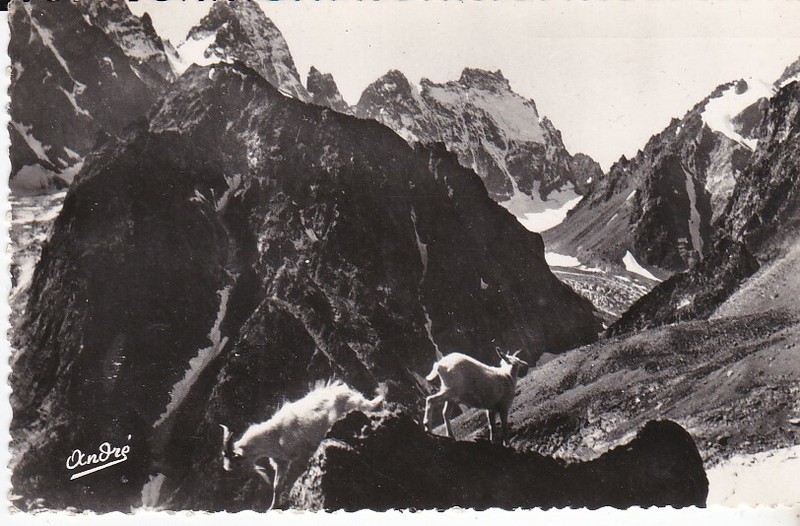 Cpsm Paysages Alpestres