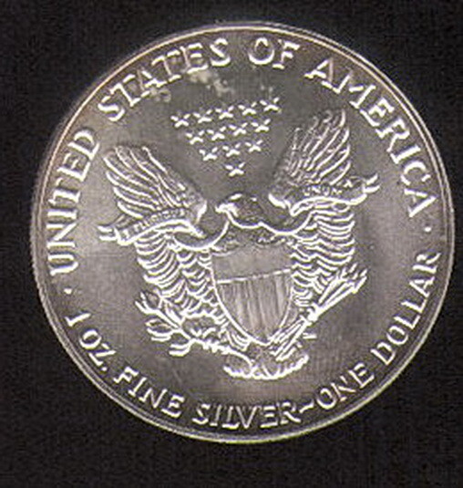 1987 US American Eagle $1.00 Coin 1oz of fine .999 Silver (Great looking coin)