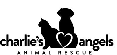 Charlie's Angels Animal Rescue