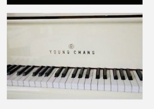 Young Chang G-150 Baby Grand Piano Polished Ivory