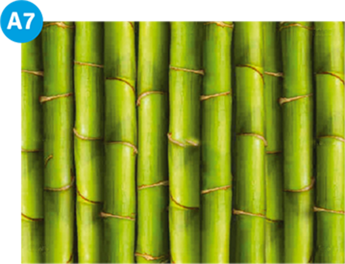 Designbecken Bambus A7 120 cm Swimmingpool Dekoration außen Aufkleber